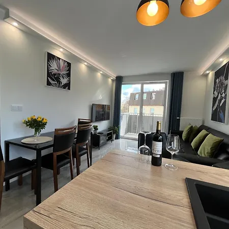 Nowy Mikolowska Premium 公寓