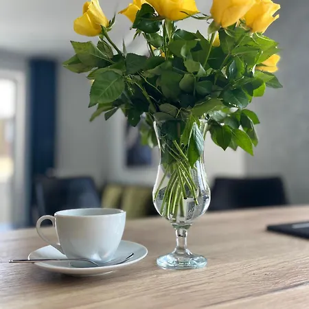 Apartament Nowy Mikołowska Premium *