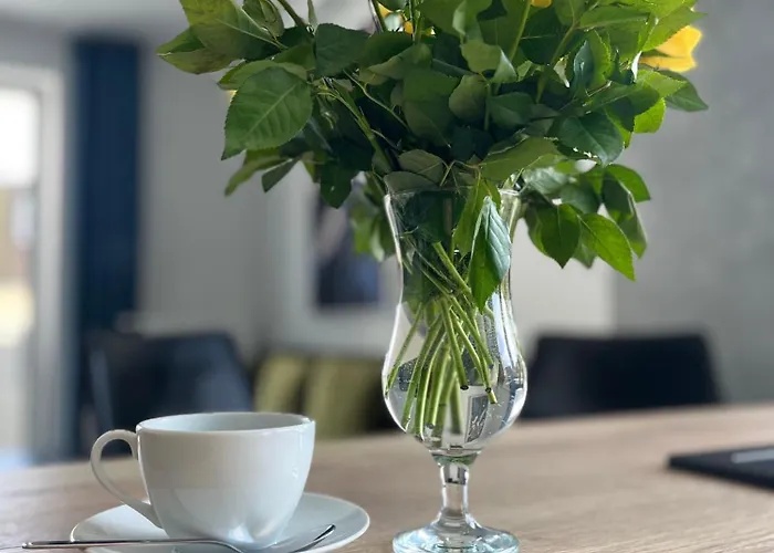 Διαμέρισμα Nowy Mikolowska Premium *